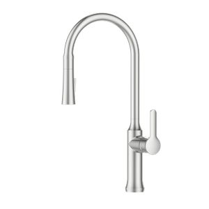 Normal Design Brushed Nickel Kitchen Faucet Fashion Style