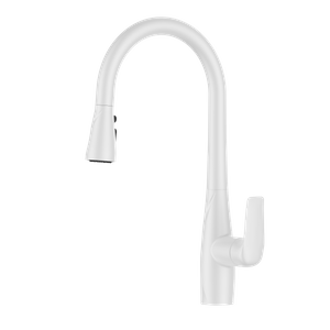 White Kitchen Faucet Pull Out Spray
