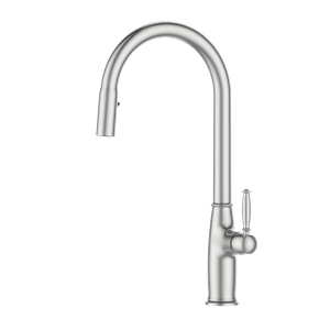 Special Design Single Handle Kitchen Faucet Brushed Nickel